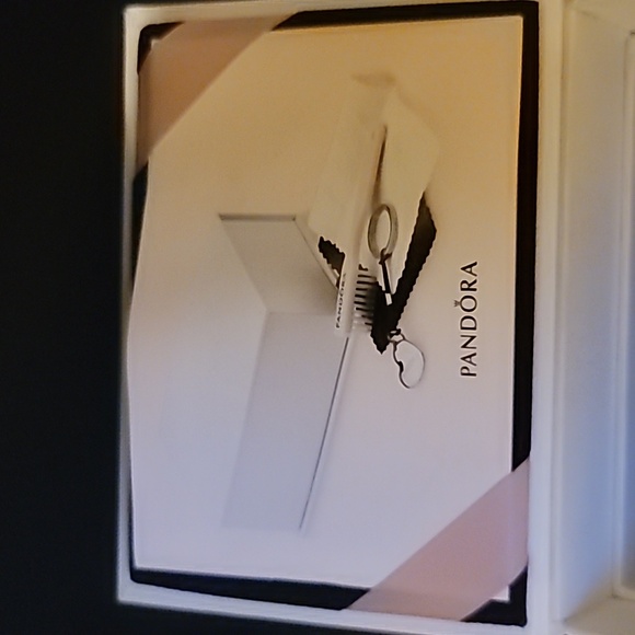 Pandora Collectors HEART KEY CHAIN Cleaning Kit Gift - Picture 4 of 9